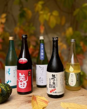 Sake at Ka Vegan Udon & Sushi in Krakow