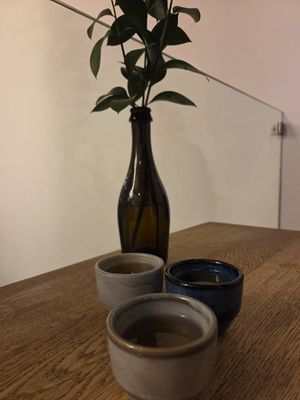 Sake tasting at Ka Vegan Udon & Sushi in Krakow