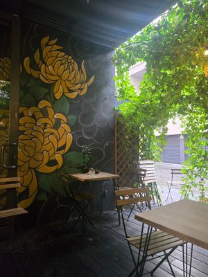  at Ka Vegan Udon & Sushi in Krakow