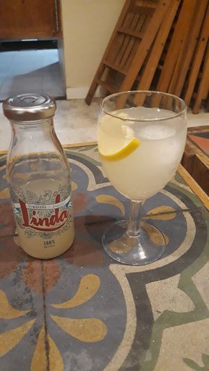 Ginger Linda at Ubik Café in Valencia