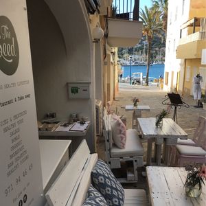 The terrace  at The Seed in Mallorca