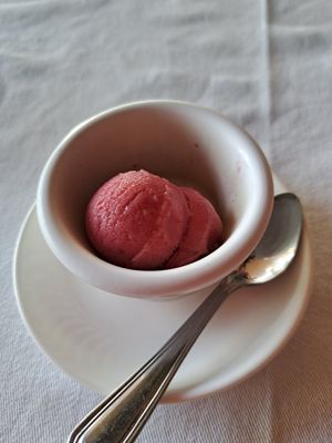 Vegan sorbet at La Luna in Manuel Antonio