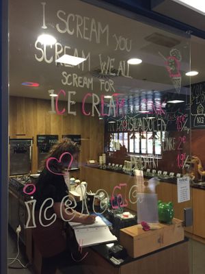 Window  at Icelend Maribox in Maribor