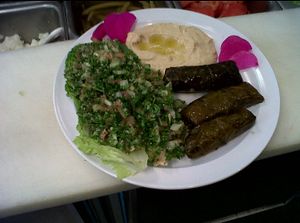Sample Platter  at Mediterranean Cuisine in Virginia Beach