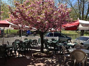 Patio area  at Carmine's Italian Deli in Elmsford