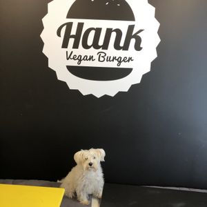 It’s dog friendly   at Hank Cuisine Végétale - Rochechouart in Paris