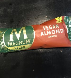 Vegan magnum  at Hank Cuisine Végétale - Rochechouart in Paris