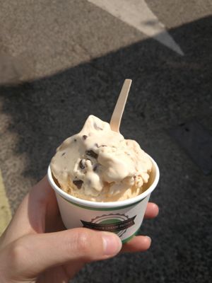 Peanut butter and chocolate ice cream  at The Nice Cream Factory in York