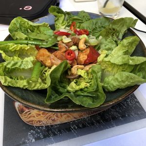 Hot tofu chilli salad, actually as really delicious  at  Wagamama - Hammersmith in West London