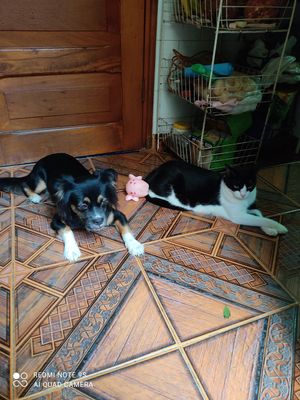 Our best hosts ♥️♥️♥️♥️ at Hostal Patio de 27 in Havana