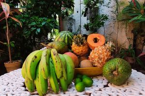 Tropical fruits 🥭🍍🍍🥭🍌🍋🍑🥥 at Hostal Patio de 27 in Havana