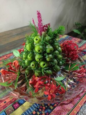 Cashew cream cheese with Oliver and Christmas mood at Hostal Patio de 27 in Havana