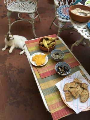 Melina cat, homegrown bananas, seeds, and dried fruits, bread. at Hostal Patio de 27 in Havana