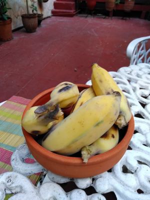 Bananine at Hostal Patio de 27 in Havana