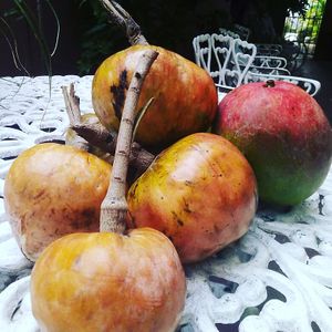 Chirimoya at Hostal Patio de 27 in Havana