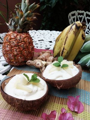 pineapple ginger & mint icecream at Hostal Patio de 27 in Havana