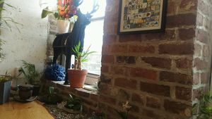 nook at Yu Yo Craft Supply + Tea House in Halifax