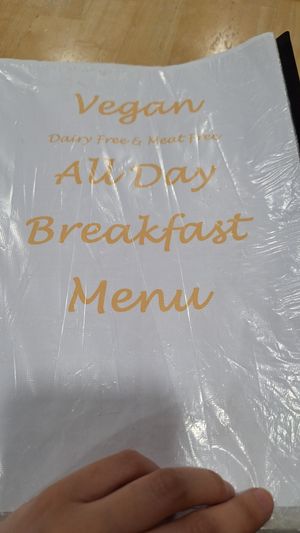  at Causeway Cafe in Belfast