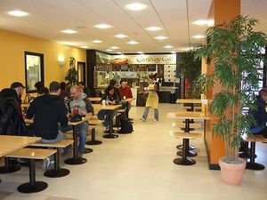 Causeway cafe at Causeway Cafe in Belfast