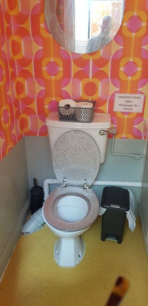 Most disco toilet I've ever seen. at Cranberry Swamp in Whitby
