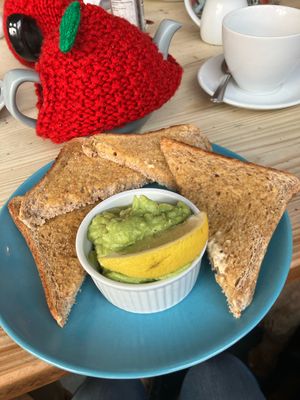 Avo  at Cranberry Swamp in Whitby