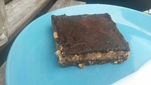 Chocolate mocha cake at Cranberry Swamp in Whitby