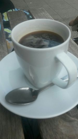 Americano at Cranberry Swamp in Whitby