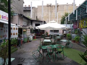 Vegan garden (after rain) at Las Vegan's - Vegan Garden Trailer in Budapest
