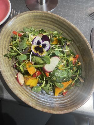 Pumpkin and vegan feta salad with toasted seeds  at Cafe Ambience in Gore