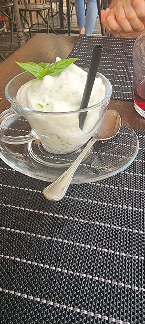 Sorbetto limone e basilico at Ciriera Osteria Vegan in Trequanda