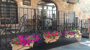 Ciriera Osteria at Ciriera Osteria Vegan in Trequanda