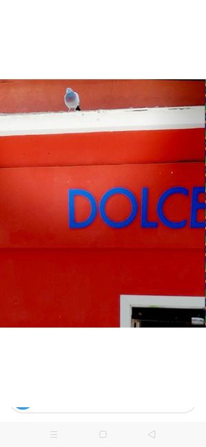 Dolce at Dolce & Vegana in Madrid