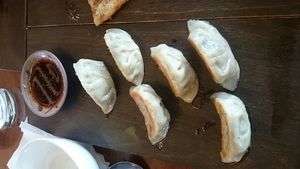 pan fried dumplings  at Water Drop Vegetarian Cafe in Christchurch