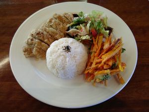 "Vegetarian Grill w/ Plum Sauce" for $18 at Water Drop Vegetarian Cafe in Christchurch