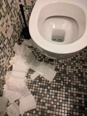  at Trieste Pizza in Rome