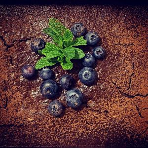Brownie with blueberry  at Solo in Lisbon