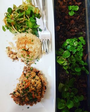 Vegan & macrobiotic at Solo in Lisbon