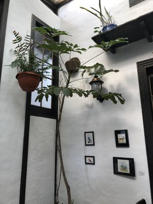 inside at Cantina Teguise in Lanzarote