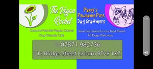 New business cards at The Vegan Rocket in Lisburn