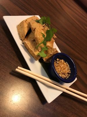 deep fried tofu  at Thai Elephants in Watkins Glen