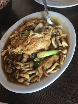 Spicy mushroom with “chicken” at My Vegan in Los Angeles