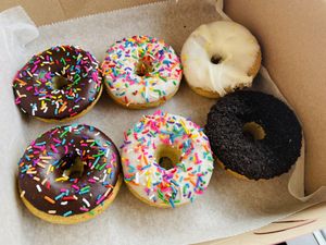  Vegan cake doughnuts at Strange Matter Coffee - Downtown in Lansing