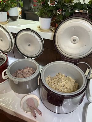 Rice  at Han Gwa Chae - 한과채 in Seoul