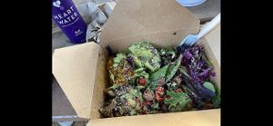 Wild Mushroom Sushi Salad at ATX Food Co in Austin