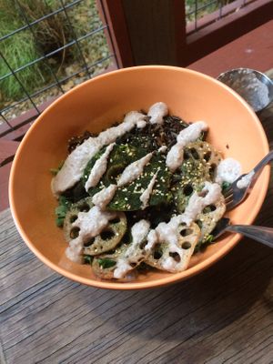 Lotus root bowl at ATX Food Co in Austin
