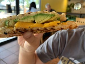 Avocado Melt at Vida Eatery  in Bakersfield
