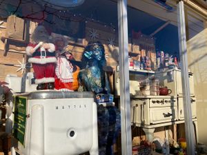 Window display  at Urban Bulk Foods in Lakewood