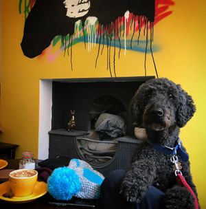 Dog friendly at Melbourne in Lichfield in Lichfield