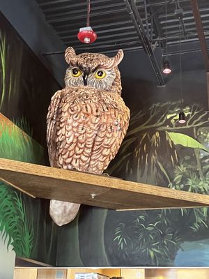   at Mellow Mushroom in Lutz