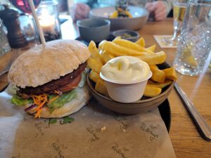 Vegan burger & fries (mayo is vegan!) at Het Ruiterhuys in Castricum